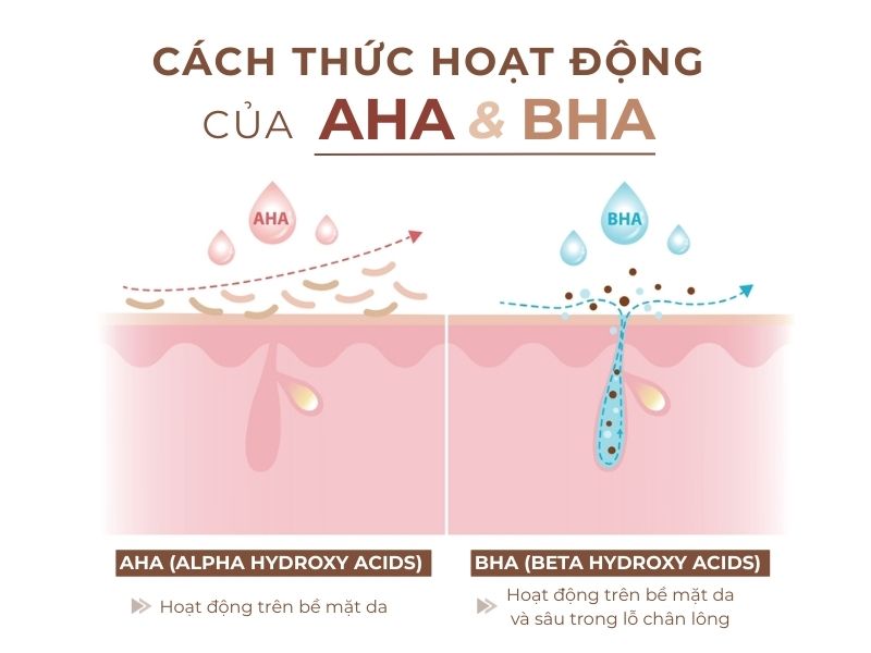 Cách thức hoạt dộng của aha và bha