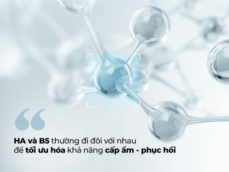 Tác dụng của HA và B5